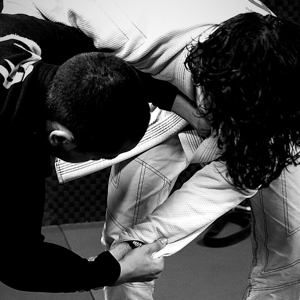 Ninshai dojo Toulouse en photos
