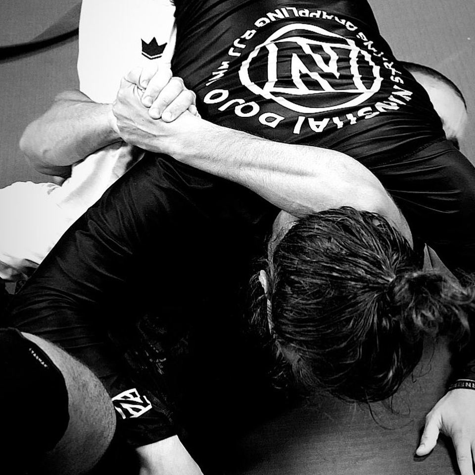 Ninshai dojo Toulouse en photos